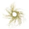 36" Pre-Lit Gold Glittered Twig Wreath with Warm White Lights